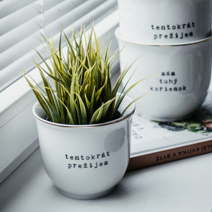 Porcelánový obal na květináč Tentokrát prežijem 10 cm - SK