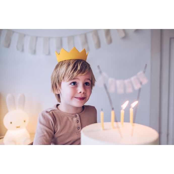 Dětská korunka Miffy