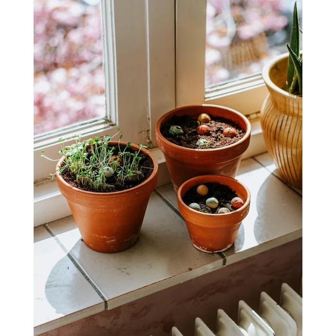 Dárková sada semínek divokých květin Happy Easter – 4 ks