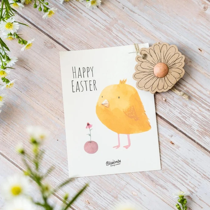 Semínka divokých květin Flower/Easter Chick + pohlednice