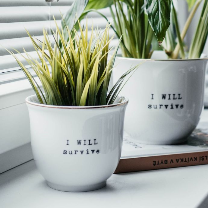 Porcelánový obal na květináč I will survive 10 cm