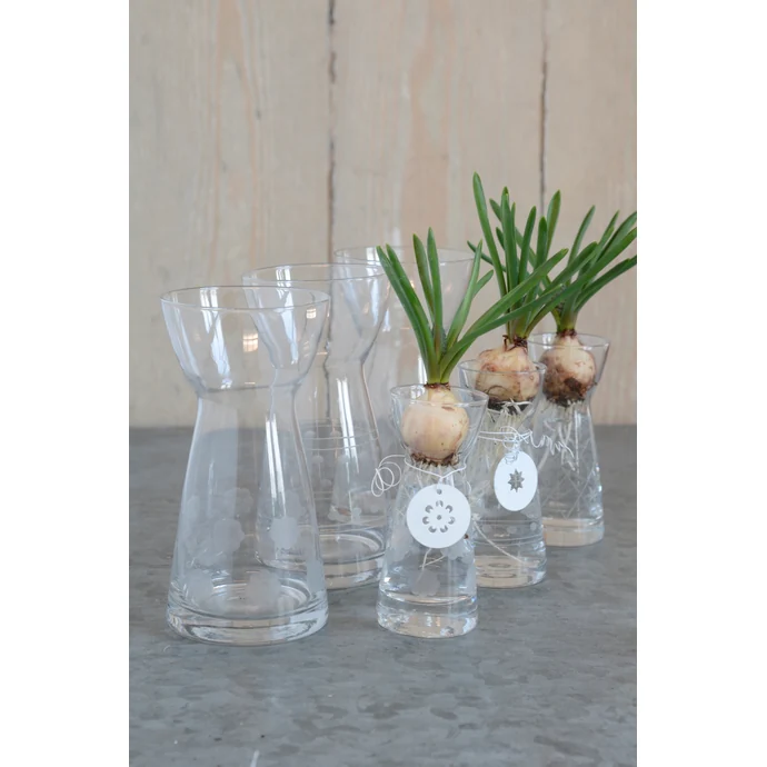 Váza Hyacint glass