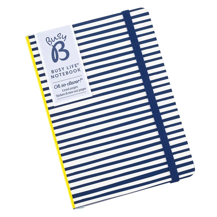 Pruhovaný zápisník Yellow & Blue Stripes
