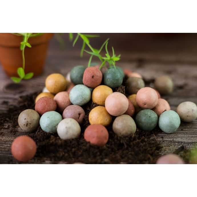 Sada semínek divokých květin Blossombs - 3 ks