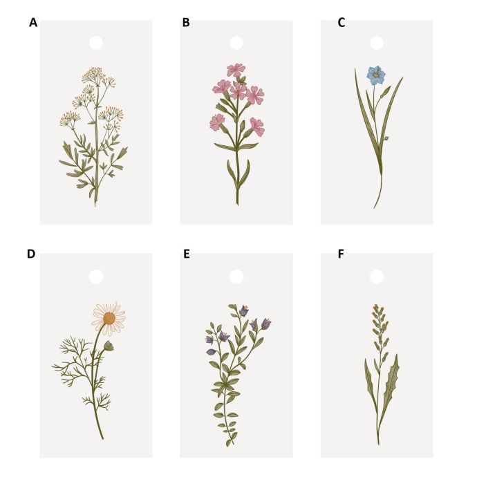Papírový štítek Flower Designs