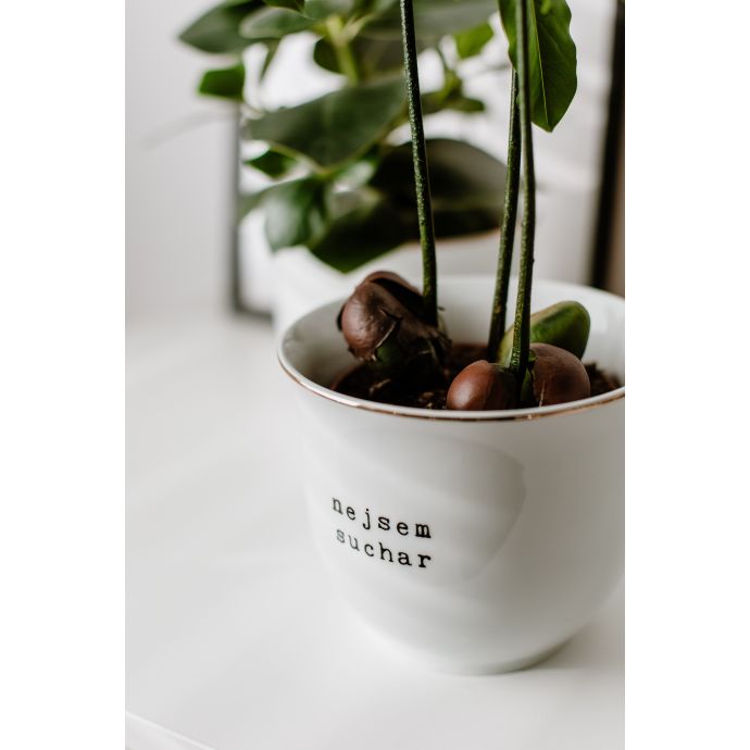 Porcelánový obal na květináč Nejsem suchar 13 cm