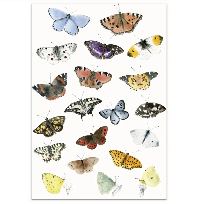 Plakát Denní Motýli A3
