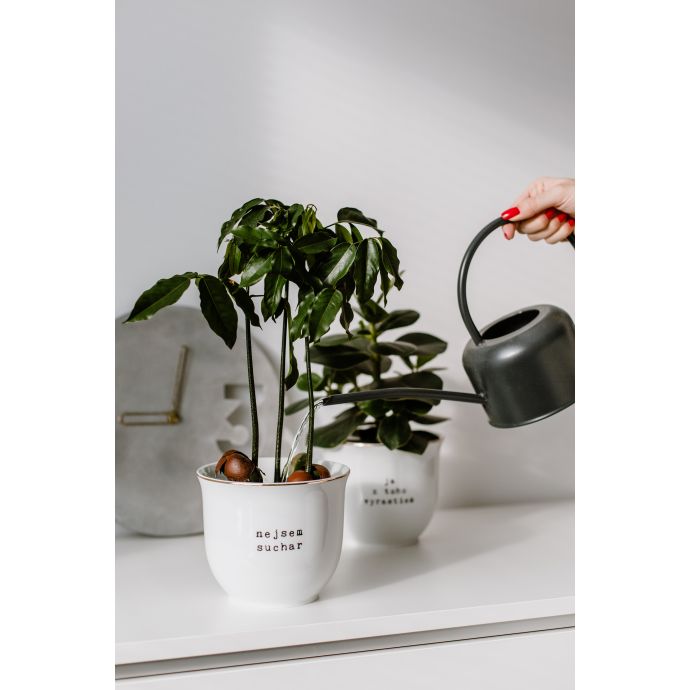 Porcelánový obal na květináč Nejsem suchar 13 cm