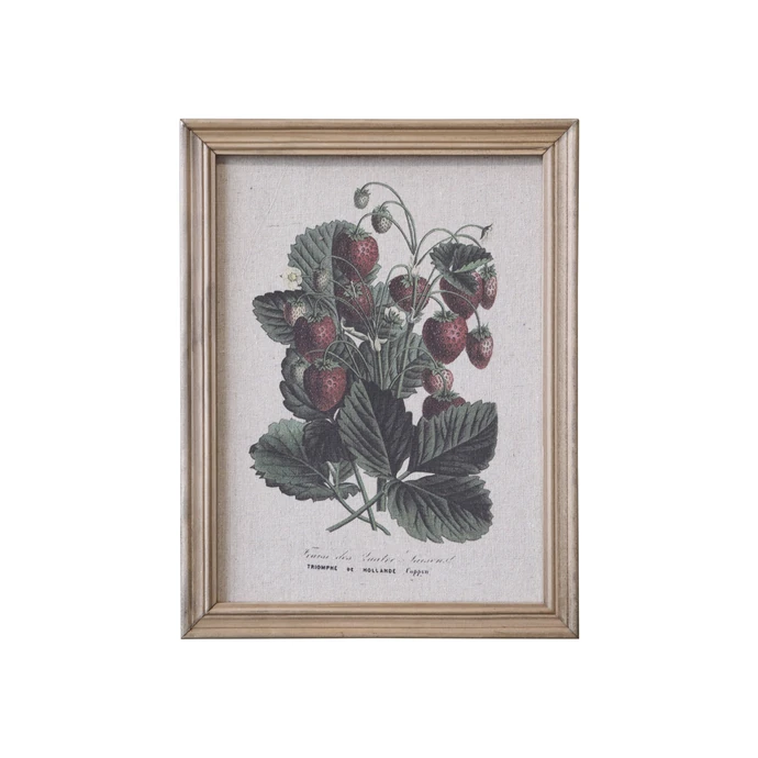 Botanický obraz v rámu Strawberry 43x33cm