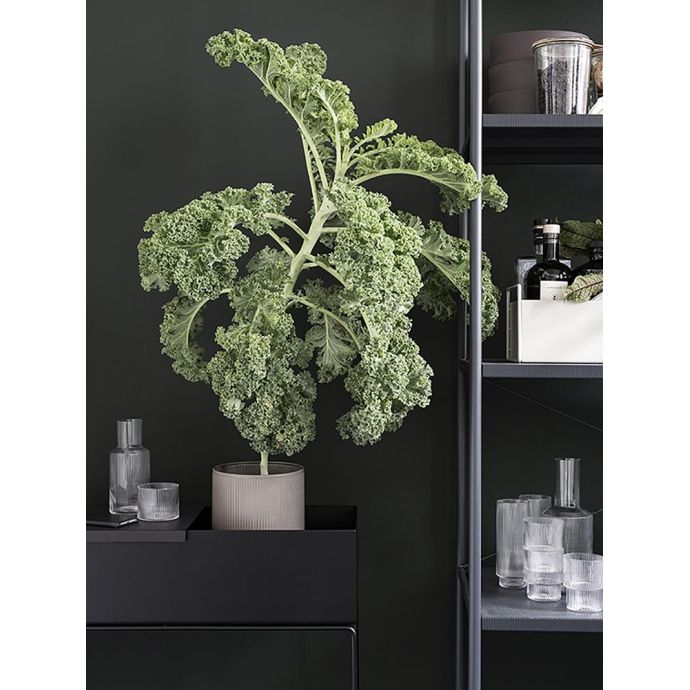Designový truhlík na stojanu Black
