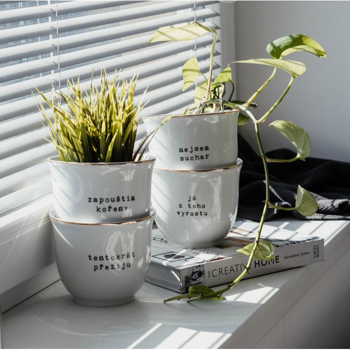 Porcelánový obal na květináč Nejsem suchar 10 cm