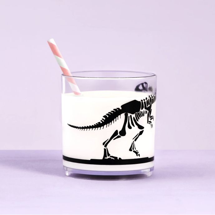 Plastová sklenice Dinosaur 250 ml