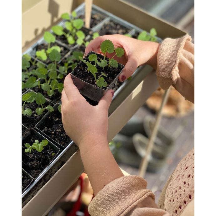Stojan na květiny Plant Box Cashmere