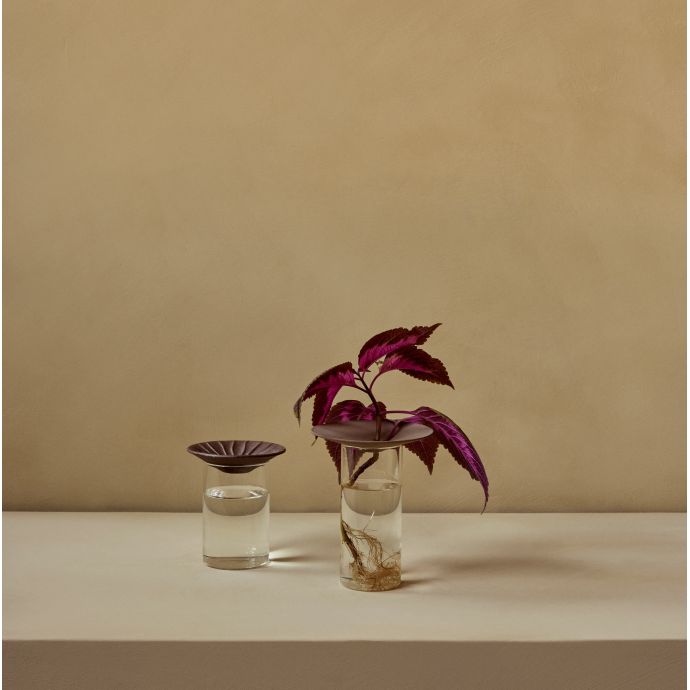 Skleněná váza Cresco Propagation - set 2 ks