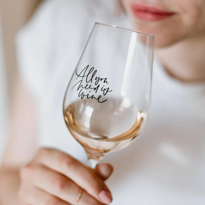 Sklenice na víno All you need is wine