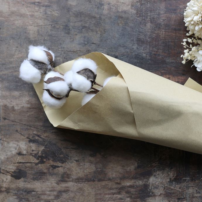 Dekorativní sušené květy Cotton Flowers