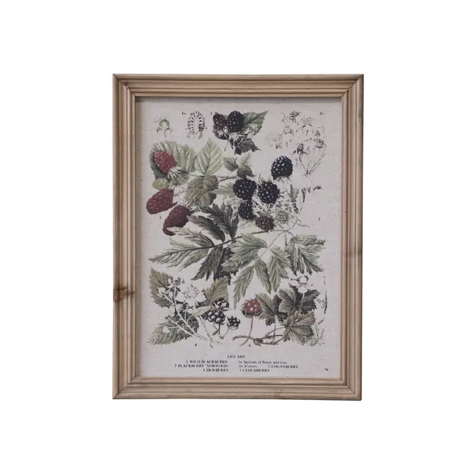 Botanický obraz v rámu Berries 43x33cm