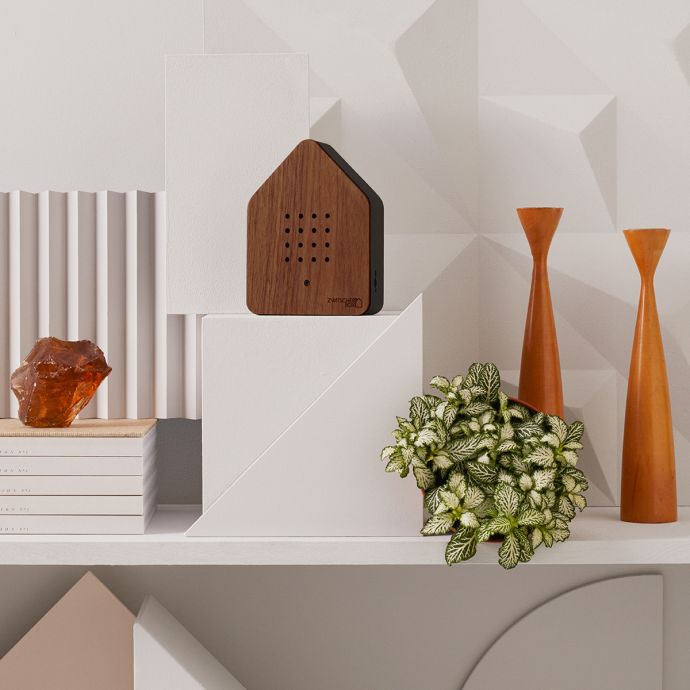 Relaxační zvuková dekorace Zwitscherbox Walnut/Black