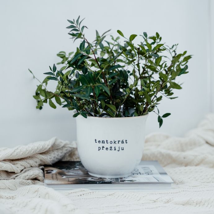 Porcelánový obal na květináč Tentokrát přežiju 16 cm