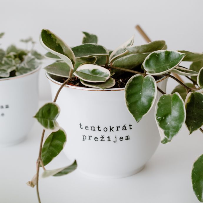 Porcelánový obal na květináč Tentokrát prežijem 13 cm - SK