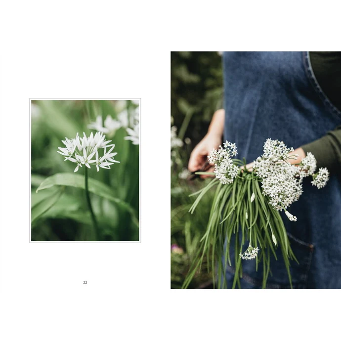 Kniha – Living with Herbs, Johanna Vireaho