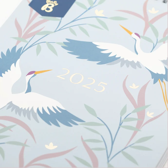 Nástěnný kalendář pro páry Birds 2025