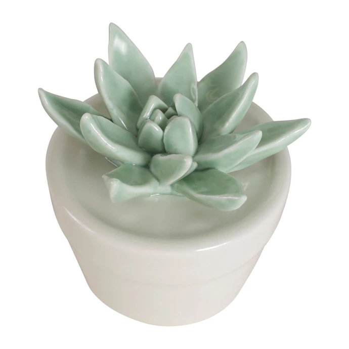 Porcelánová dekorace Succulent