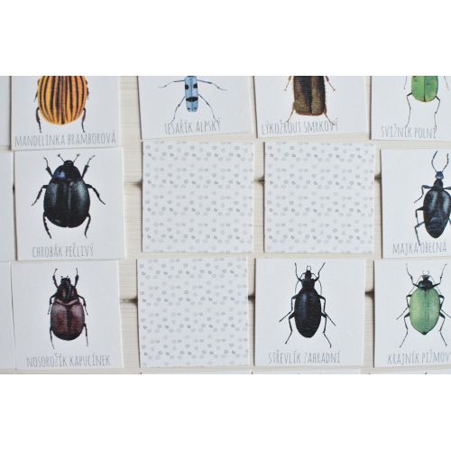 Papírové pexeso Beetles