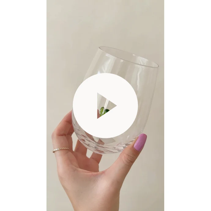 Sklenice na vodu Misa Cactus 560 ml
