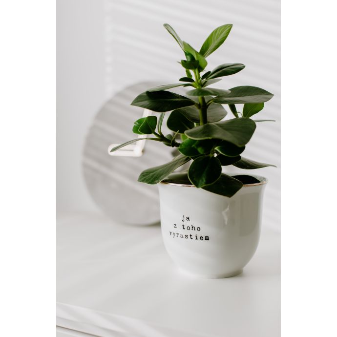 Porcelánový obal na květináč Ja z toho vyrastiem 13 cm
