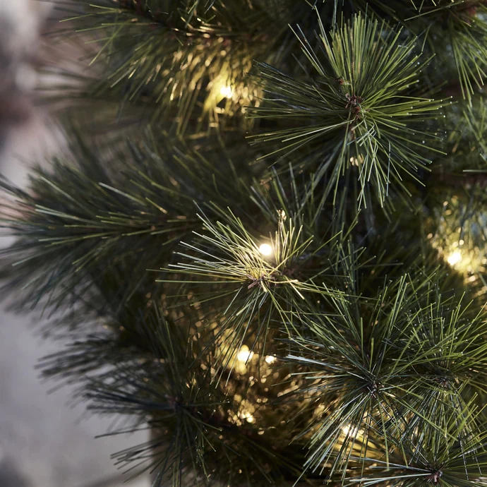 Vánoční LED stromeček Pinus 60 cm