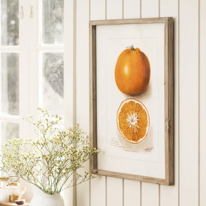 Obraz v rámu Citrus 45 x 60 cm
