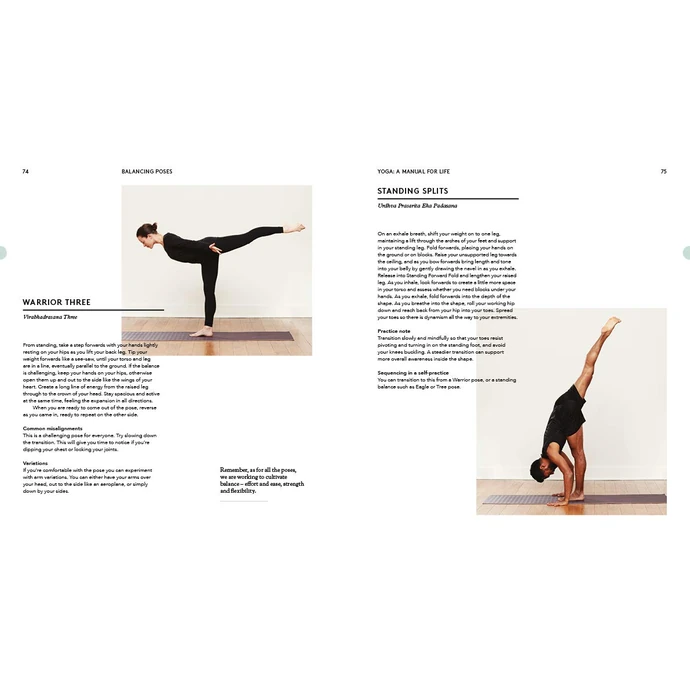 Kniha - Yoga: A Manual for Life, Naomi Annand