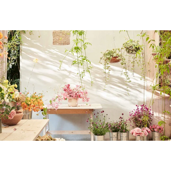 Kniha – The Artistry of Flowers, Maria Gabriela Salazar