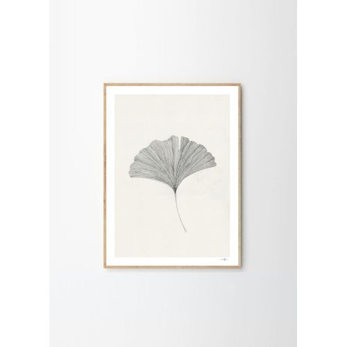 Autorský mini plakát Ginkgo Leaf by Ana Frois A5