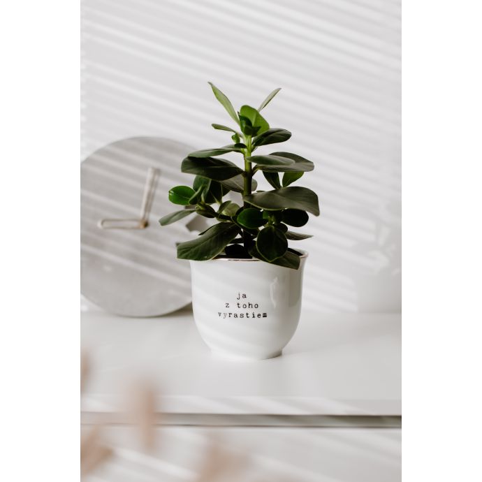 Porcelánový obal na květináč Ja z toho vyrastiem 13 cm