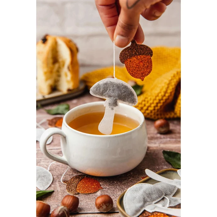 Noční bylinný čaj Mushroom – 5 ks