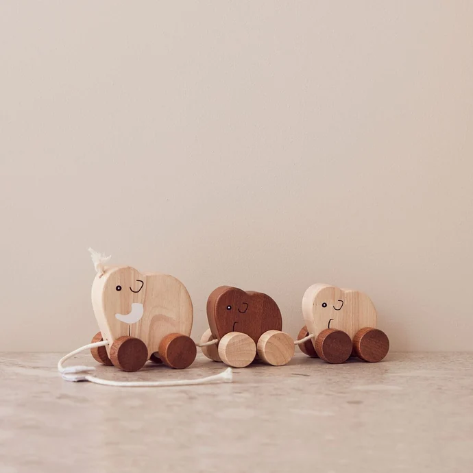 Dřevěná tahací hračka Mammoth Family Neo