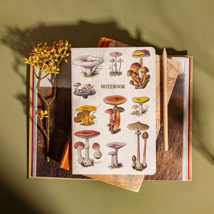 Notes Vintage Mushrooms A5