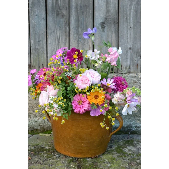 Zahrada do vázy - Anita Blahušová