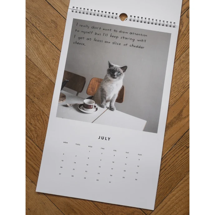 Nástěnný kalendář Cat 2020