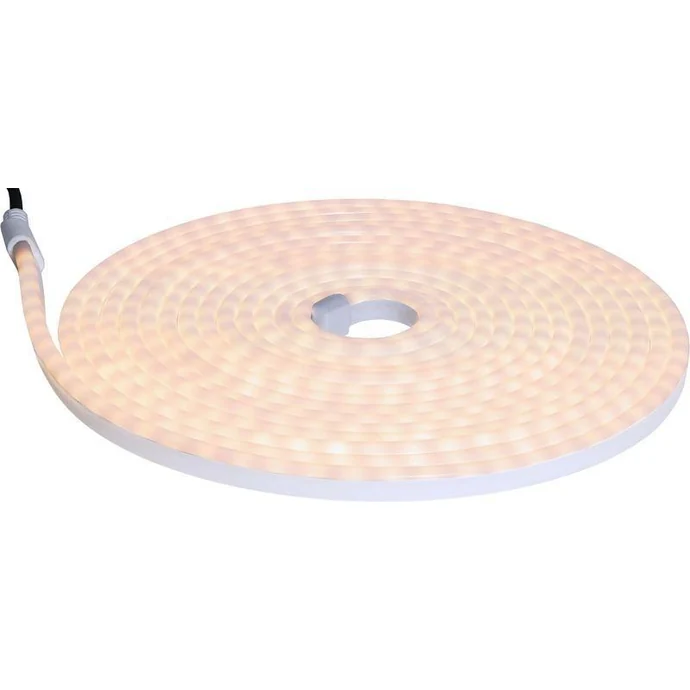 LED pásek Neoled - 6m