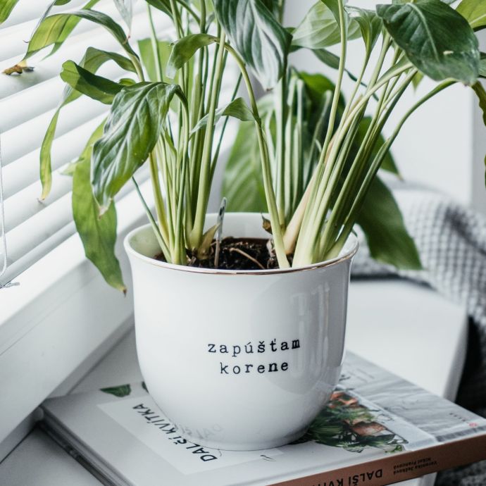 Porcelánový obal na květináč Zapúšťam korene 13 cm - SK