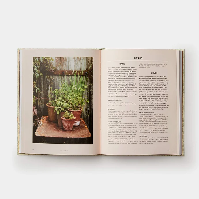 Kniha - Grow Fruit & Vegetables in Pots, Aaron Bertelsen