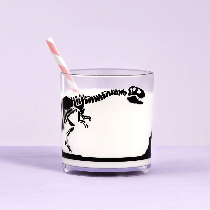 Plastová sklenice Dinosaur 250 ml