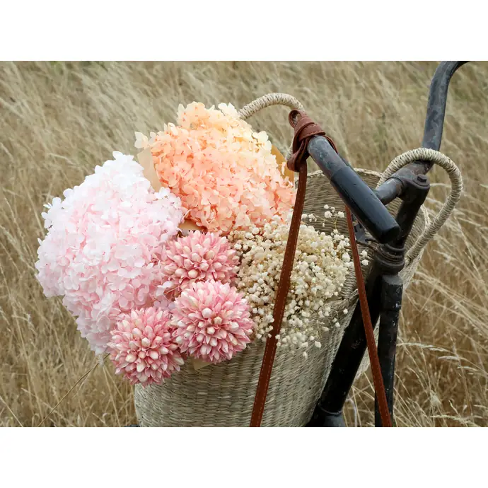 Sušená dekorativní květina Snowball - 3 ks