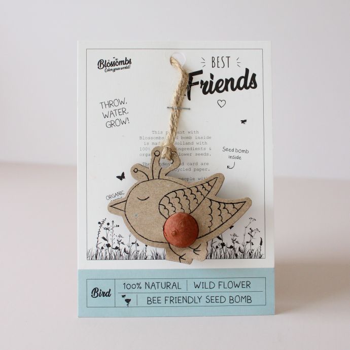 Semínka divokých květin Bird / Best Friends + pohlednice