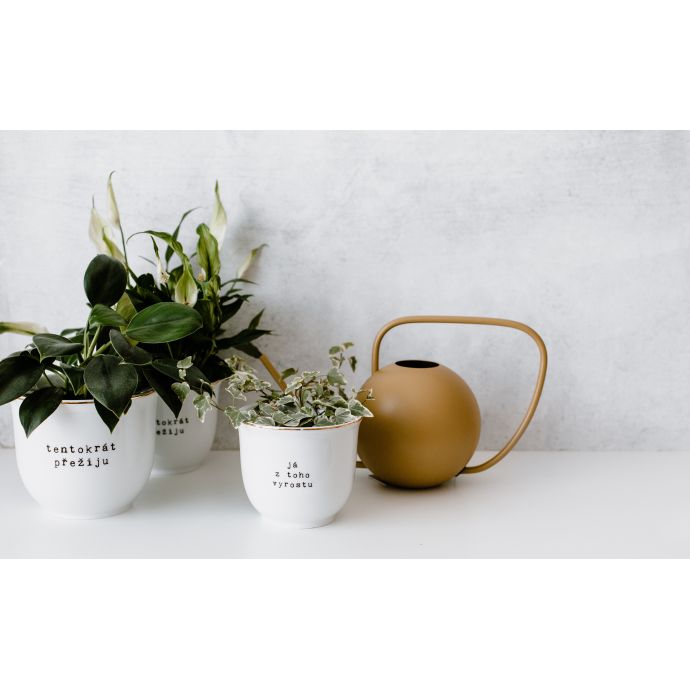 Porcelánový obal na květináč Tentokrát přežiju 13 cm