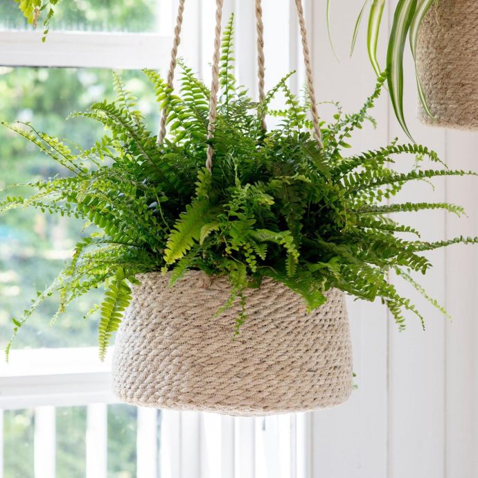Závěsný jutový obal na květináč Wide Tapered Pot