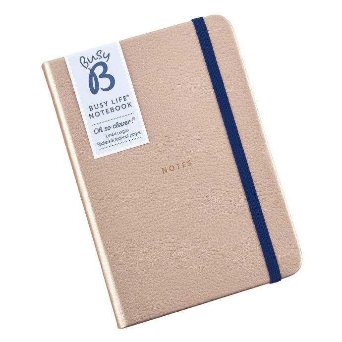 Zápisník Rose Gold Notes A6